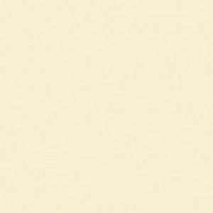 SANDERSON PAINT NEUTRAL  22